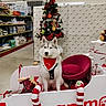 husky, dog, christmas_tree, holiday, red_bandana, pet_store, sitting, decorations, wrapped_presents, plush_toy, red_chair, sleigh, pet_supplies, indoor, festive, animal, canine, christmas, display, calm