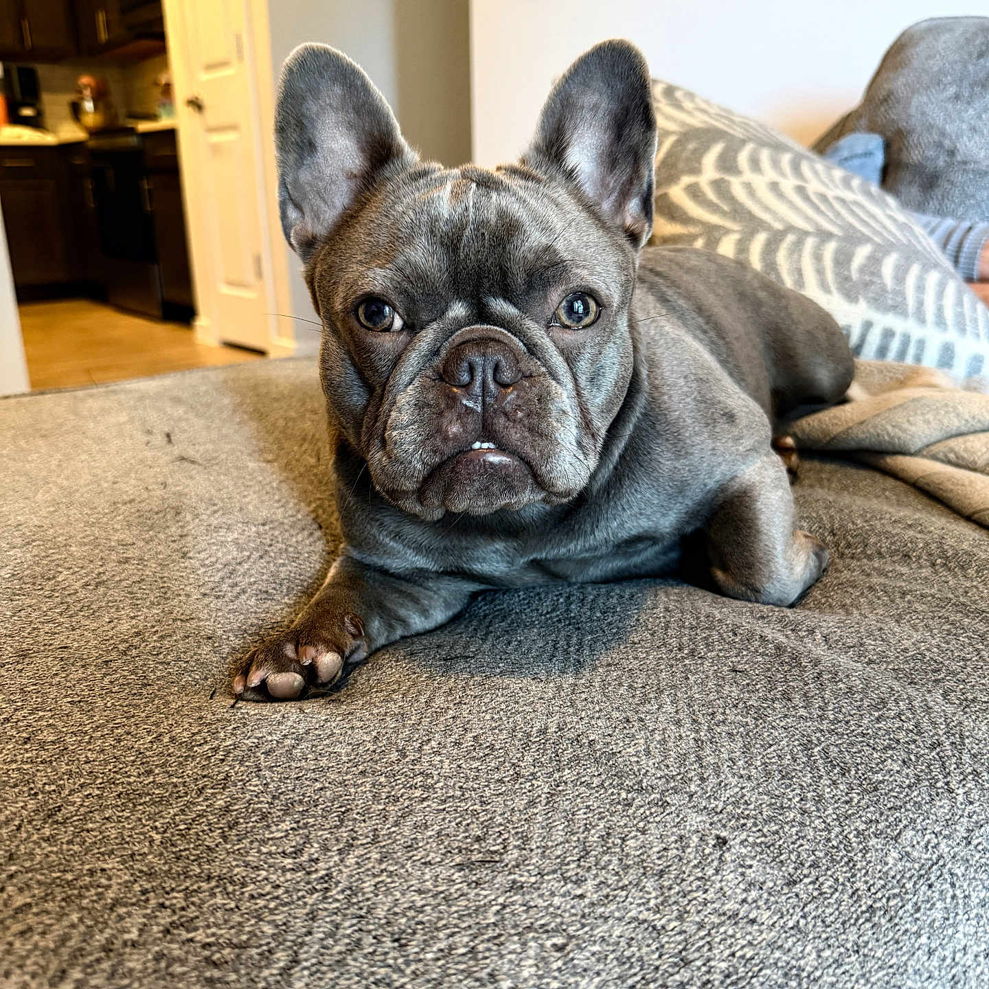 Lilo