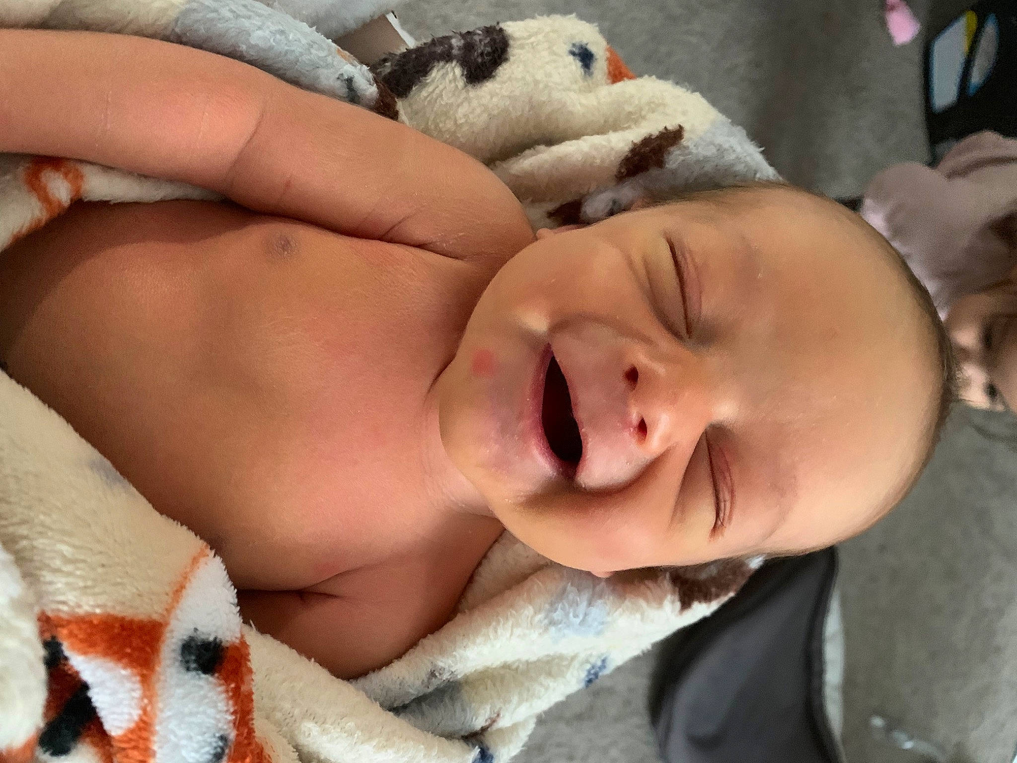 Mekkiah is registered to the contest to win money with this photo: arm, baby, cheek, comfort, eye, eyebrow, eyelash, face, gesture, happy, head, human_body, lip, mouth, muscle, neck, nose, person, skin, smile