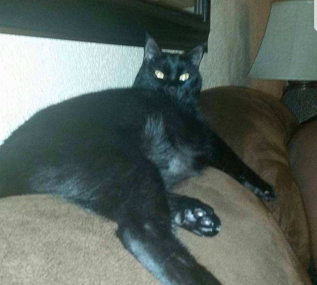 Sir Franklin E. Katz