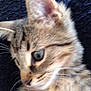 Bounty participe au concours pour gagner de l'argent avec cette photo :