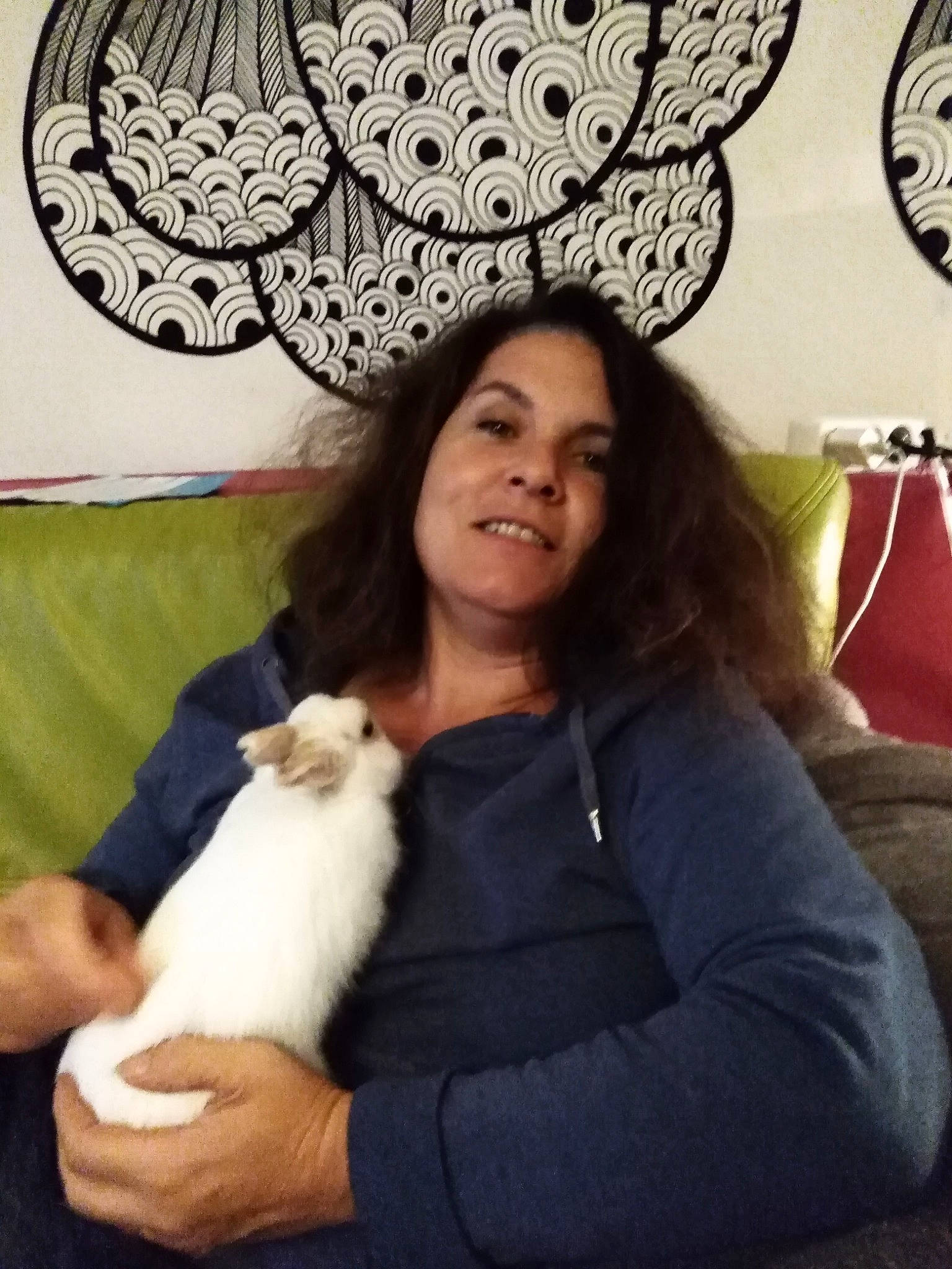 Pilou a rejoint le concours — aidez-le/la à gagner de superbes lots ! cat, companion_dog, felidae, fur, happy, headgear, long_hair, small_to_medium_sized_cats, smile