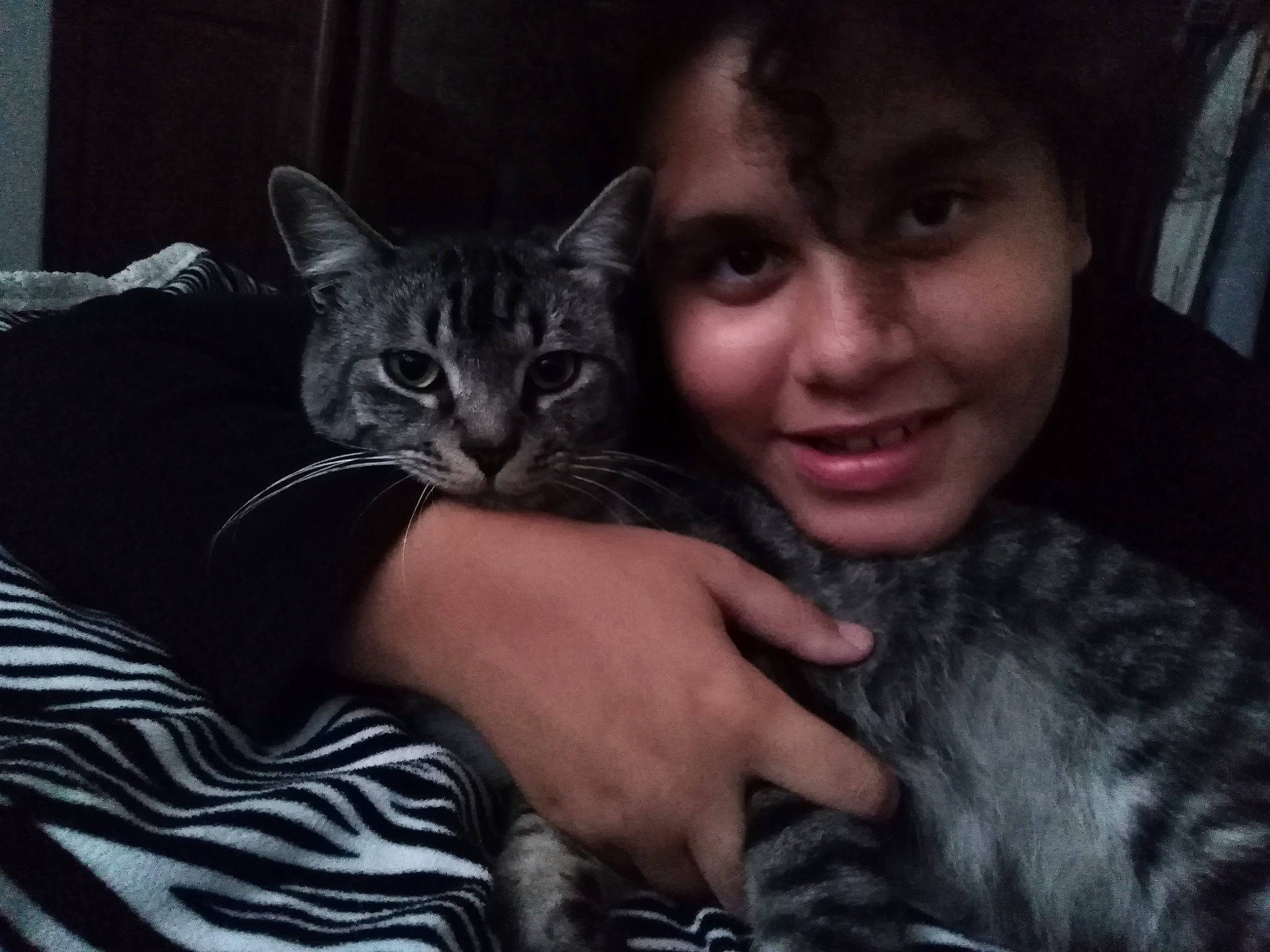 Picaseau participe au concours pour gagner de l'argent avec cette photo : american_shorthair, asian, carnivore, cat, domestic_short_haired_cat, dragon_li, ear, egyptian_mau, european_shorthair, eye, felidae, fur, gesture, hand, kitten, pixie_bob, small_to_medium_sized_cats, smile, tabby_cat, whiskers