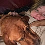 animal, blanket, brown_dog, casual, comfortable, couch, cozy, dog, face, home, human, indoor, leather_couch, pet, portrait, relaxed, resting, snuggling, warm_lighting, woman