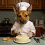 dog, chef_hat, chef_coat, cake, kitchen, countertop, fork, gloves, oven, stove, teapot, rolls, tiles, cabinets, utensils, baking, portrait, brown_fur, ears, eyes