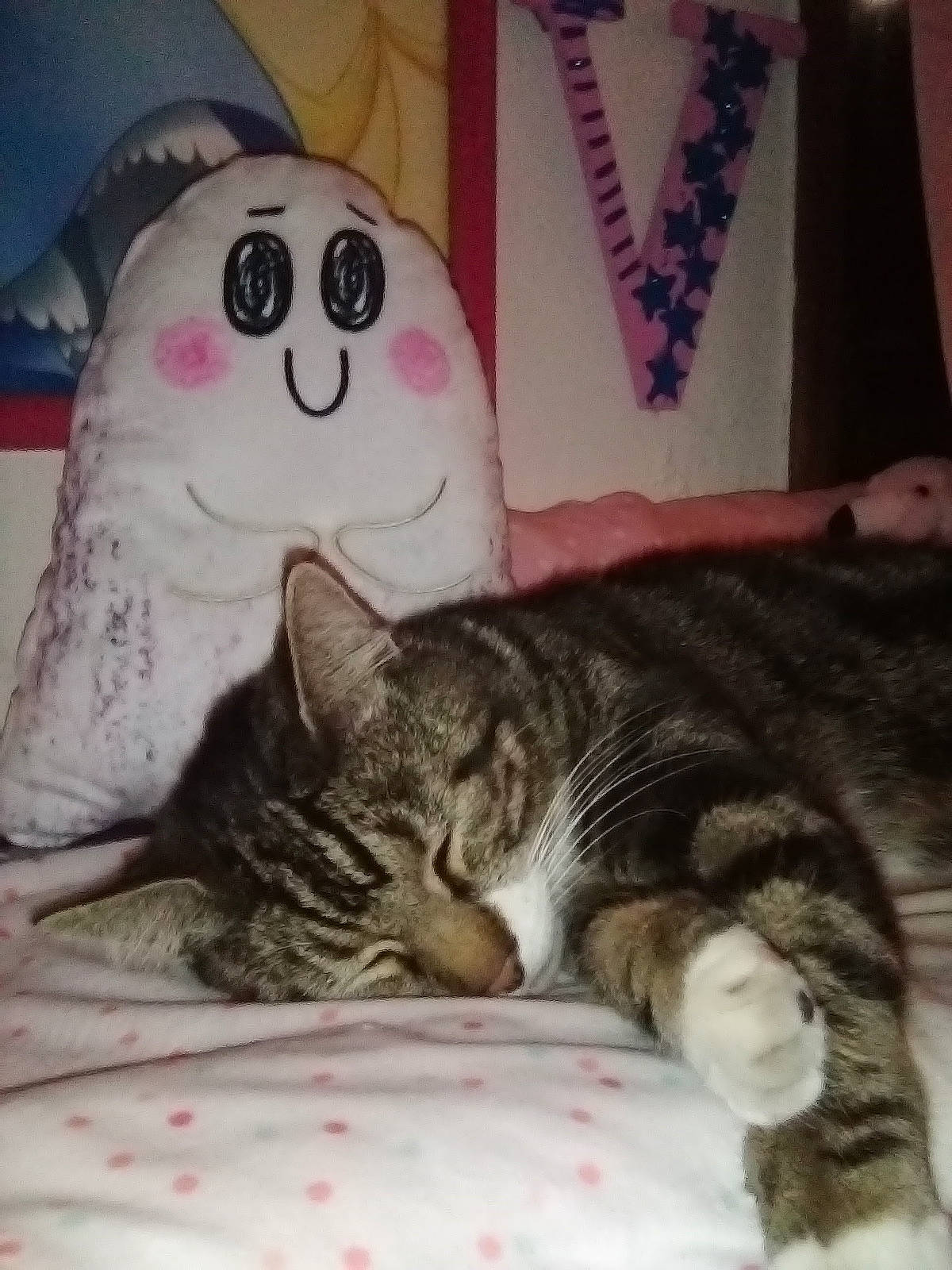 Stripes is registered to the contest to win money with this photo: bed, bedding, carnivore, cat, comfort, couch, domestic_short_haired_cat, felidae, fur, linens, mammal, nap, paw, room, small_to_medium_sized_cats, snout, tail, textile, vertebrate, whiskers