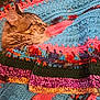 cat, tabby_cat, sleeping, cozy, blanket, knitted_blanket, colorful, pattern, texture, fur, pet, resting, cute, warm, indoor, closeup, comfortable, peaceful, animal, nap