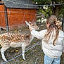 Zahya a rejoint le concours — aidez-le/la à gagner de superbes lots ! animal, autumn, back_view, calm, casual_clothing, child, corduroy_jacket, daylight, deer, fence, grass, hair_clip, jeans, leaves, nature, outdoor, petting, tree, wildlife, wooden_shed