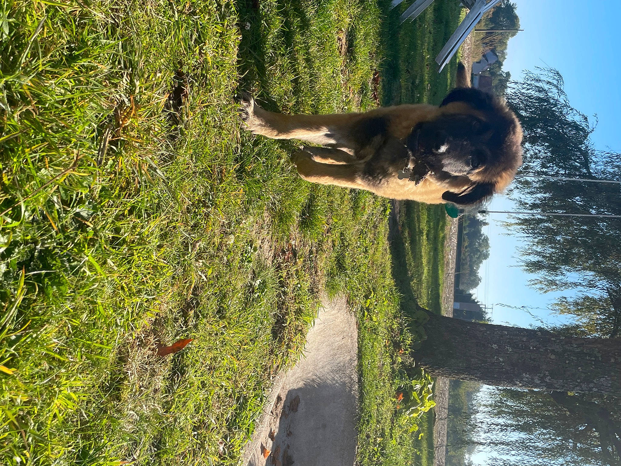 Saïko participe au concours pour gagner de l'argent avec cette photo : biome, branch, grass, grass_family, landscape, people_in_nature, plant, reflection, shadow, shrub, sky, sunlight, tints_and_shades, tree, trunk, vegetation, water, wilderness, wood, woody_plant