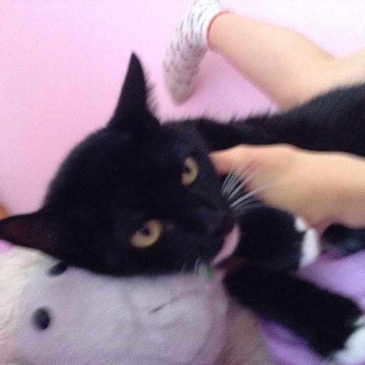 Meggie is registered to the contest to win money with this photo: