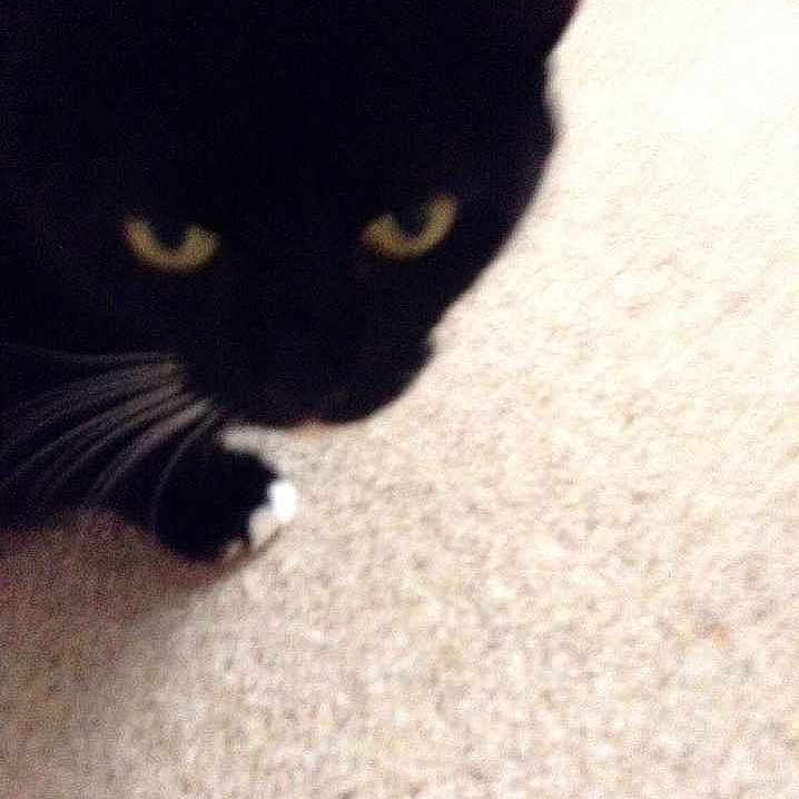 Megan