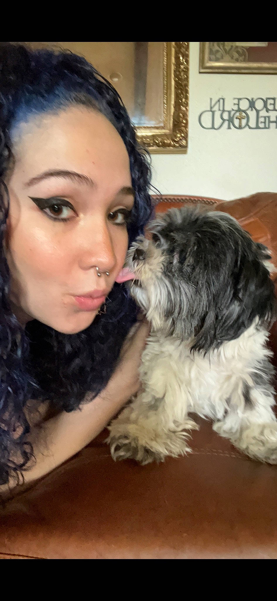 Nugget is registered to the contest to win money with this photo: black_hair, carnivore, companion_dog, dog, dog_breed, eye_liner, eyelash, head, iris, lipstick, liver, long_hair, makeover, nose, shih_tzu, small_terrier, snout, sporting_group, toy_dog, working_animal