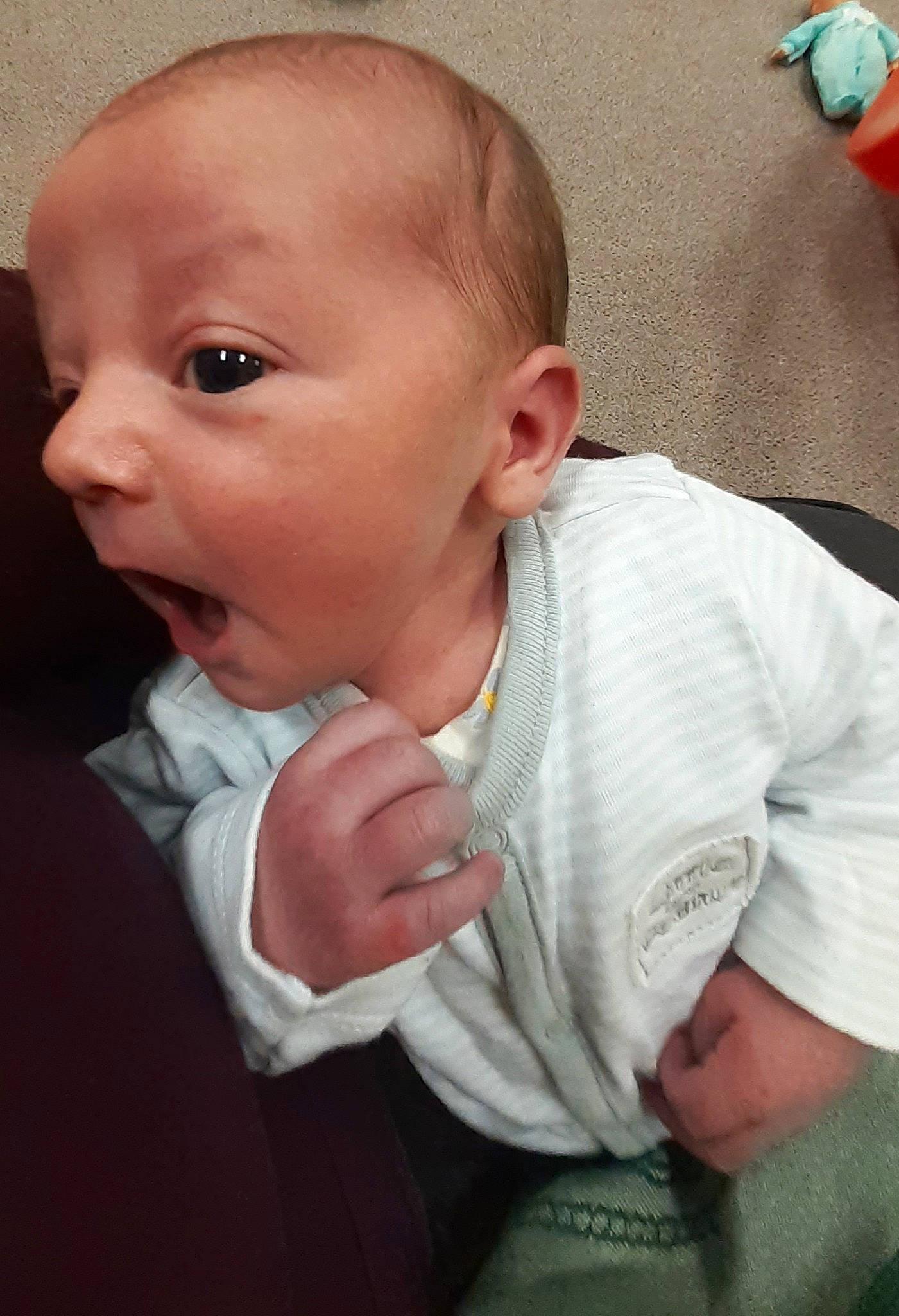 Gatsby is registered to the contest to win money with this photo: baby, cheek, child, chin, ear, eye, face, facial_expression, forehead, head, lip, mouth, neck, nose, person, skin, smile, toddler