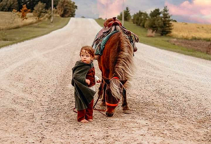 Théoden is registered to the contest to win money with this photo: adaptation, fun, horse, landscape, mode_of_transport, pack_animal, person, rein, working_animal