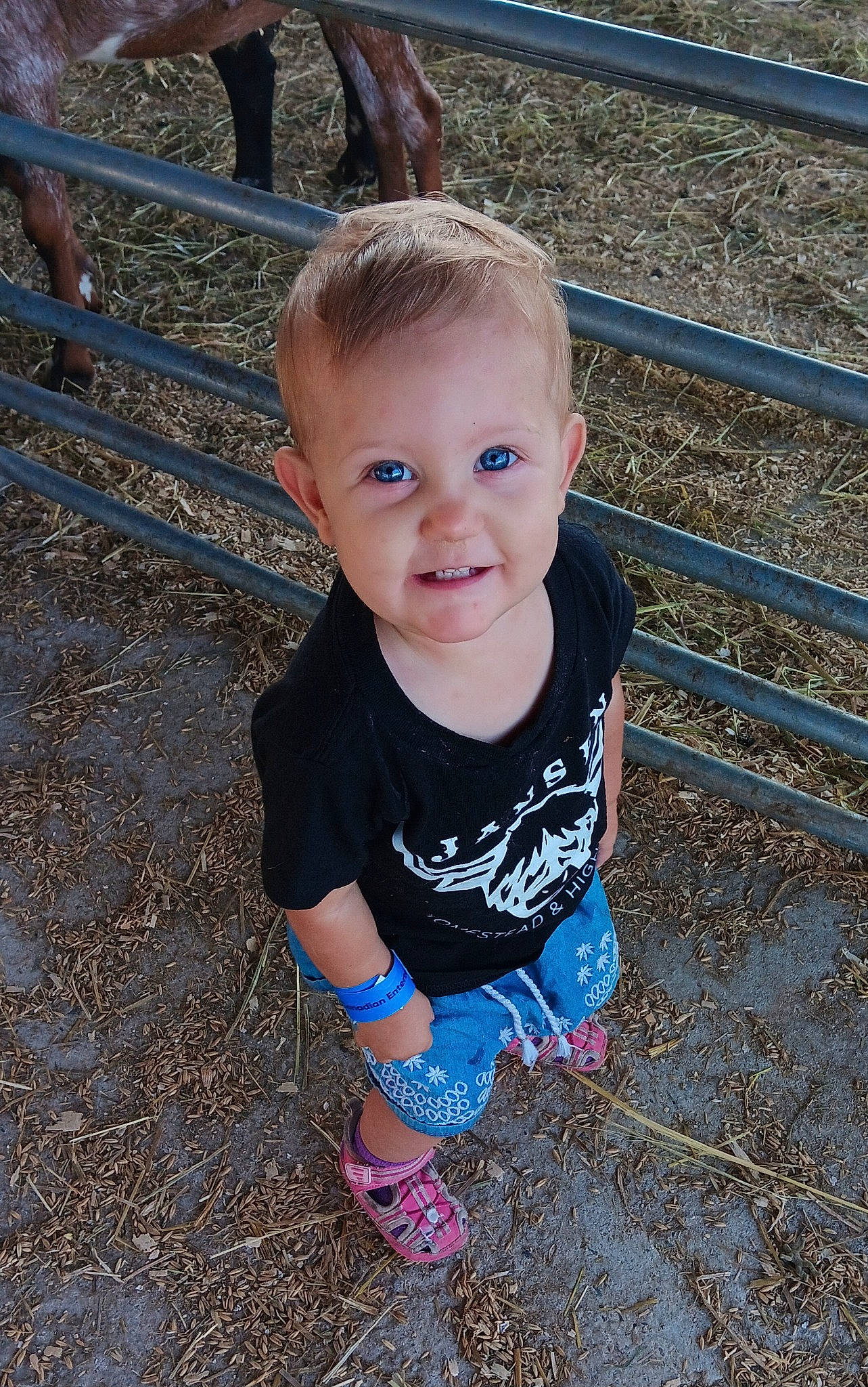 Prairie joined the competition — help win amazing prizes! baby, baby_toddler_clothing, cheek, child, electric_blue, fun, grass, happy, iris, leaf, leg, leisure, pattern, people_in_nature, person, sitting, skin, smile, t_shirt, toddler