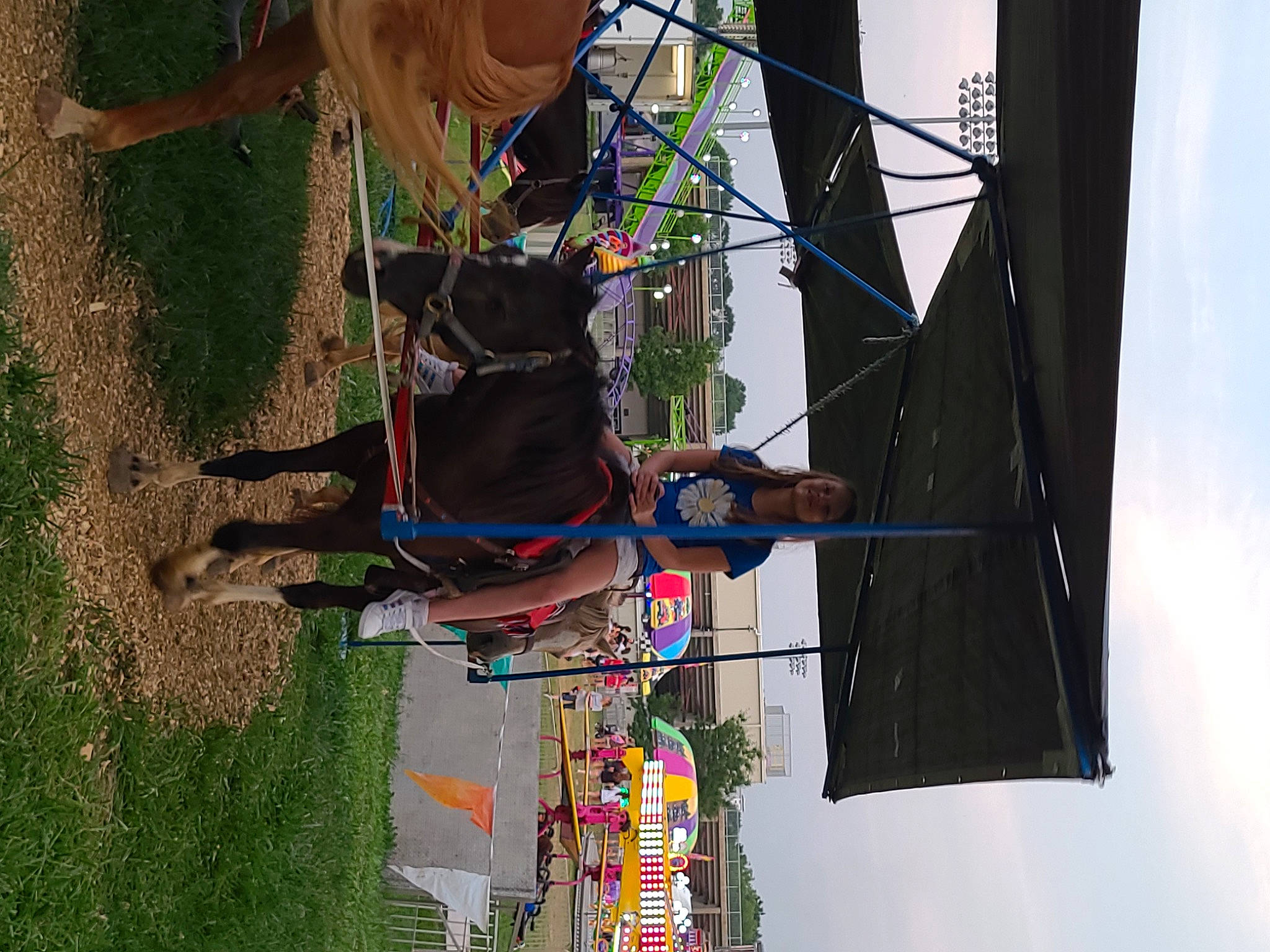 Haylie joined the competition — help win amazing prizes! adventure, electrical_supply, electrical_wiring, electricity, facade, fun, joy, landscape, leash, leisure, line, person, plant, recreation, rope, sky, sport_climbing, tire, tree, under_exposed