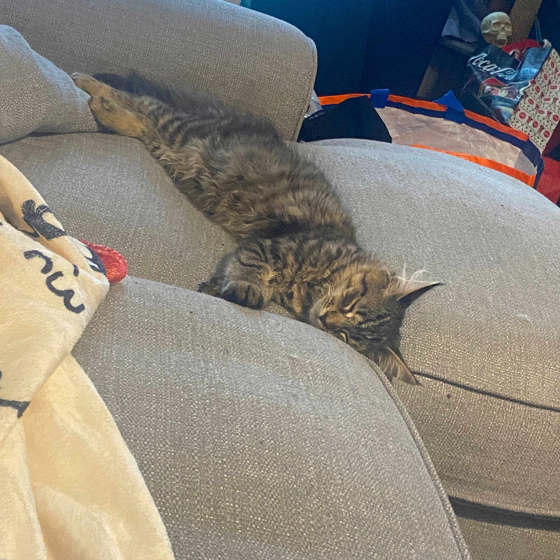 Hades joined the competition — help win amazing prizes! kitten, cat, tabby, couch, sofa, blanket, indoor, sleeping, relaxing, furniture, pet, animal, cozy, fur, cute, home, resting, domestic_cat, living_room, soft