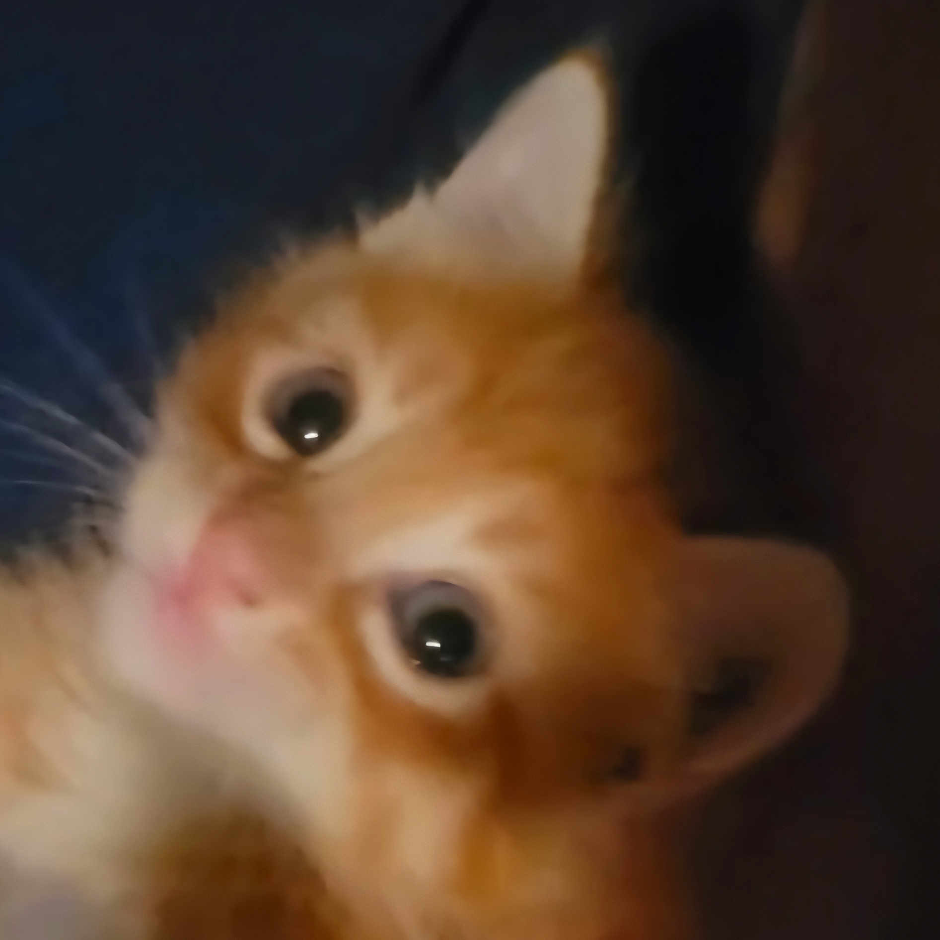 Grogu