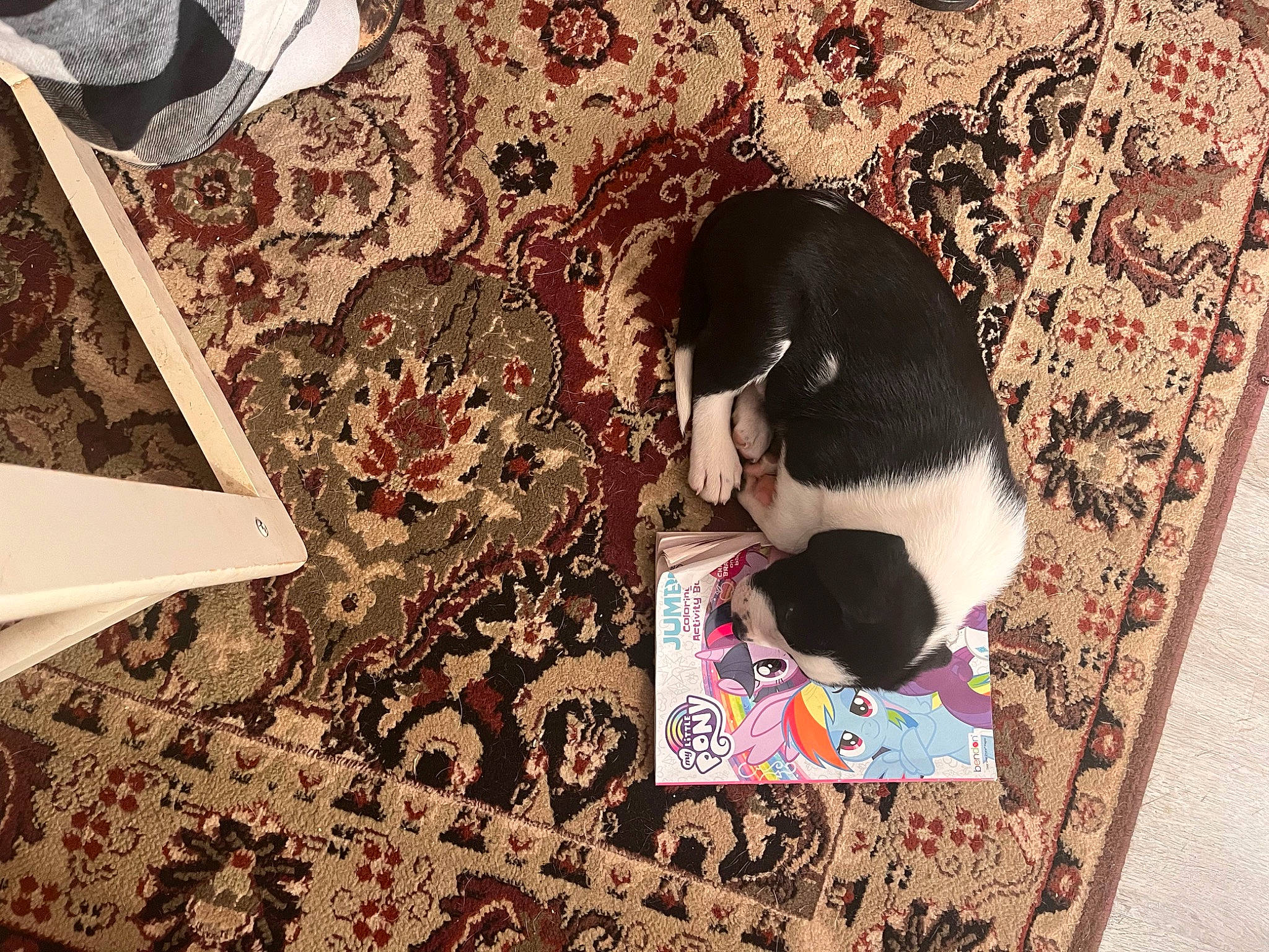 Brutus is registered to the contest to win money with this photo: art, brown, carmine, carnivore, carpet, cat, comfort, felidae, flooring, fur, linens, pattern, rectangle, rug, small_to_medium_sized_cats, suit, tail, visual_arts, whiskers, wood