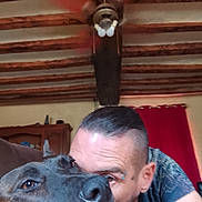 Aïka participe au concours pour gagner de l'argent avec cette photo : animal, brown_dog, casual_clothing, ceiling_fan, close_up, companion, cozy, dog, facial_hair, home_interior, human, indoor, intimate, man, pet, piercing, portrait, red_curtain, selfie, wooden_beams