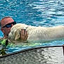 Charlee is registered to the contest to win money with this photo: man, dog, swimming_pool, water, sunglasses, pet, animal, summer, outdoor, holding, white_dog, canine, human, recreation, leisure, friendship, wet, gentle, companion, trust