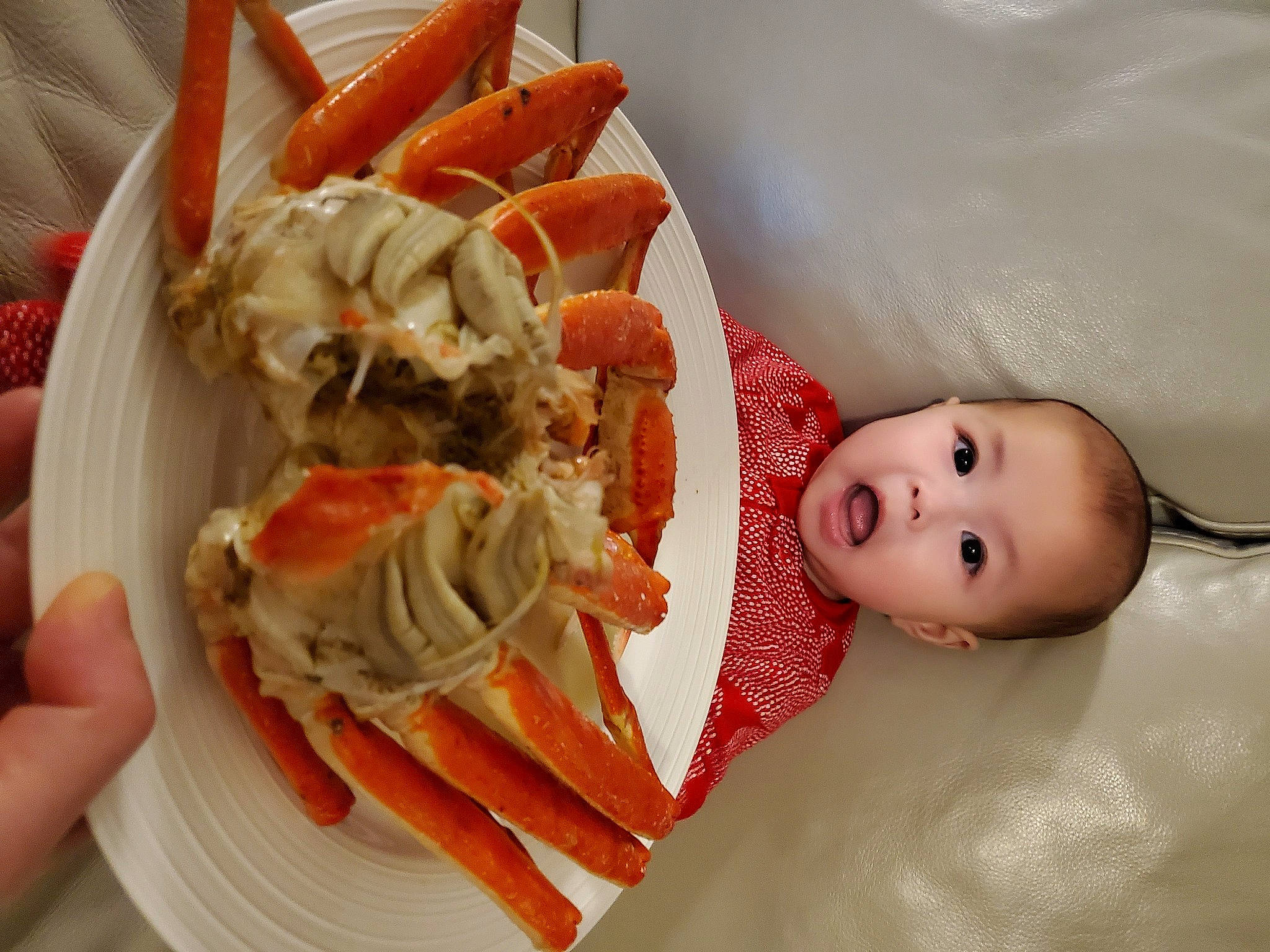 Paige joined the competition — help win amazing prizes! baby, comfort_food, cuisine, dim_sum, dish, dishware, fast_food, finger, finger_food, food, happy, ingredient, junk_food, meat, person, plate, produce, recipe, smile, surprise