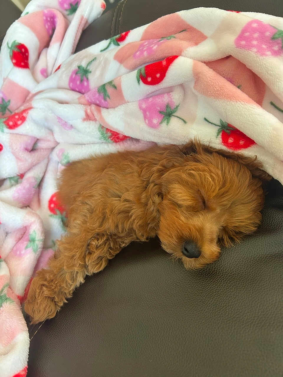 Chloe
