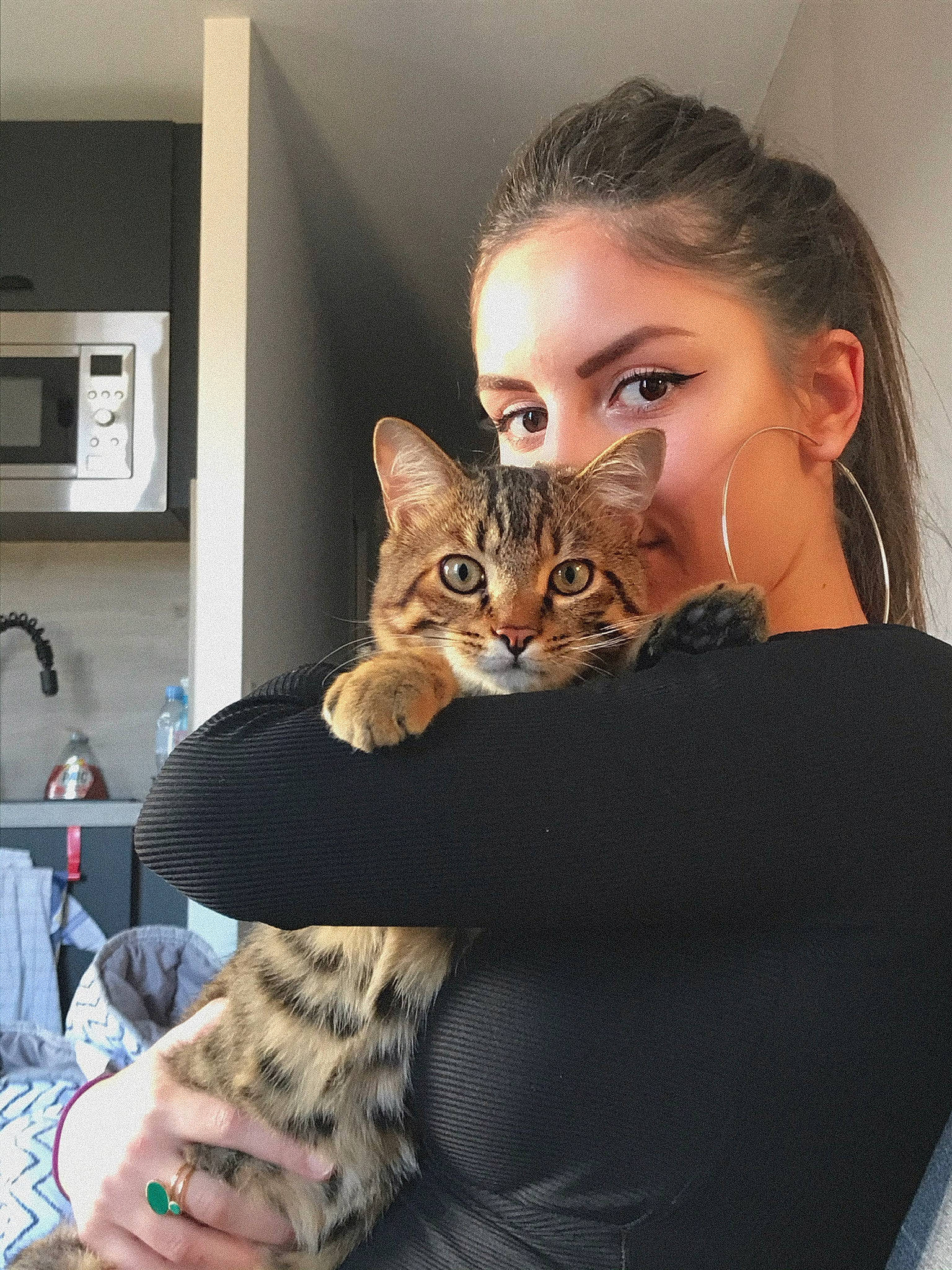 Ciro a rejoint le concours — aidez-le/la à gagner de superbes lots ! blond, body_jewelry, body_piercing, brown_hair, carnivore, cat, domestic_short_haired_cat, earrings, eyelash, felidae, fur, jewellery, long_hair, mammal, microwave_oven, nail, skin, small_to_medium_sized_cats, vertebrate, whiskers