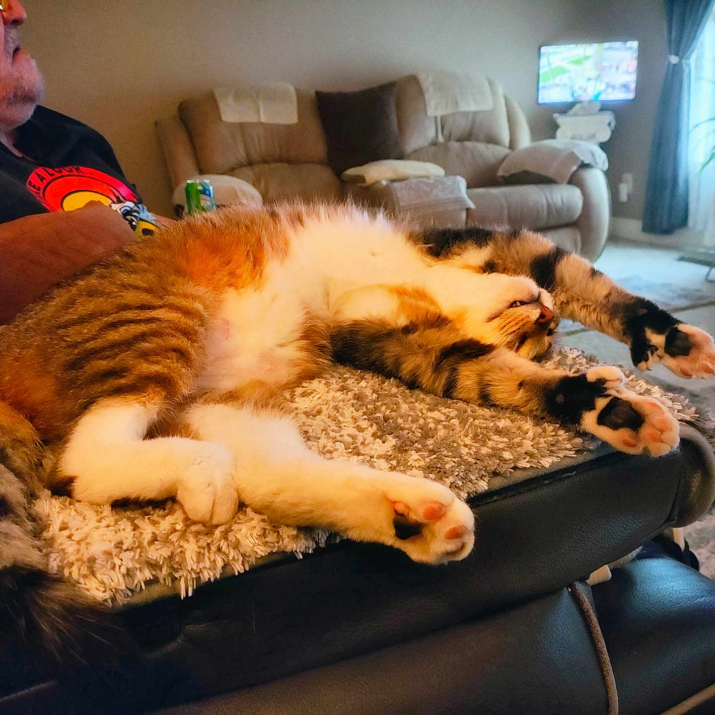 Kitty Kat Mama