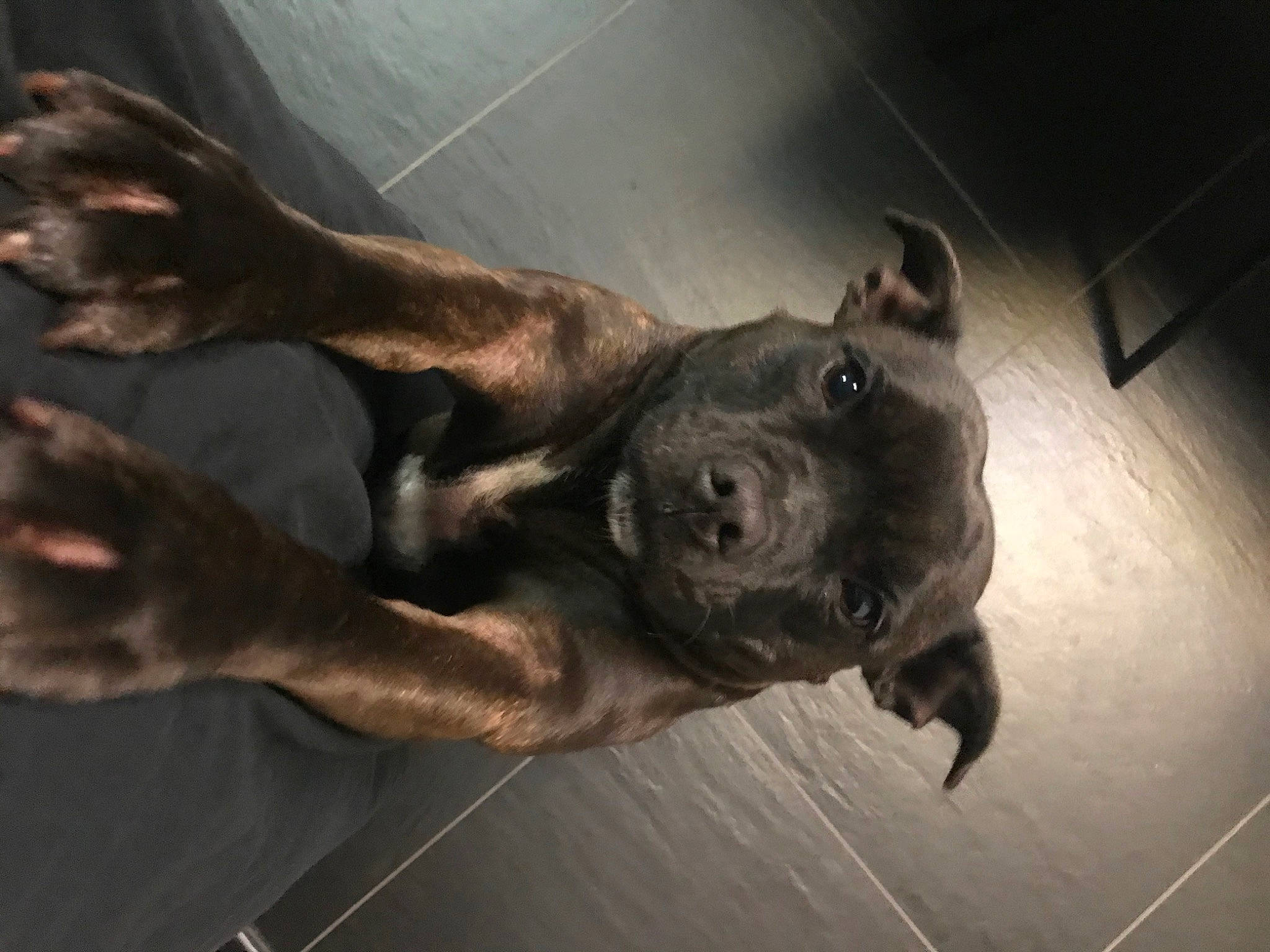Nala