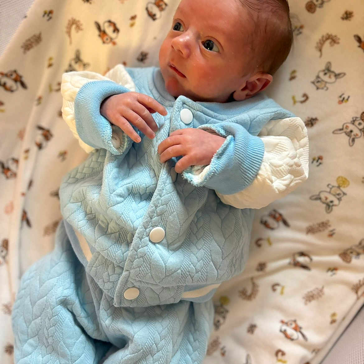 Ezio participe au concours pour gagner de l'argent avec cette photo : animal_pattern, baby, blanket, blue_clothing, child, closeup, comfortable, cozy, curious_gaze, cute, indoors, infant, lying_down, newborn, portrait, quilted_outfit, small_hands, soft_texture, warm, woodland_animals