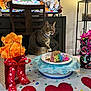 tabby_cat, cat, birthday_cake, birthday_party, gift_bags, ribbon, table, chair, confetti, party_decorations, wrapped_presents, plate, celebration, indoor, furniture, television, wall, floor, animal, licking