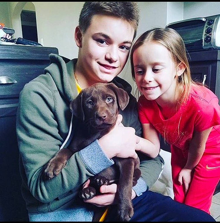 Finn joined the competition — help win amazing prizes! beauty, canidae, carnivore, child, companion_dog, cool, dog, dog_breed, ear, happy, labrador_retriever, love, photography, puppy, puppy_love, selfie, smile, sporting_group, t_shirt, weimaraner