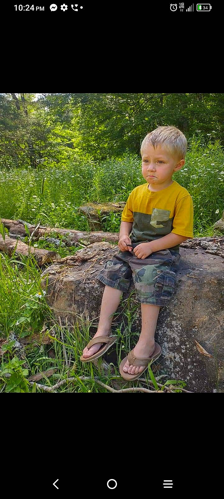 Landon joined the competition — help win amazing prizes! adaptation, botany, forest, fun, grass, grass_family, groundcover, happy, landscape, leaf, leisure, people_in_nature, person, plant, recreation, shorts, t_shirt, terrestrial_plant, tree, trunk