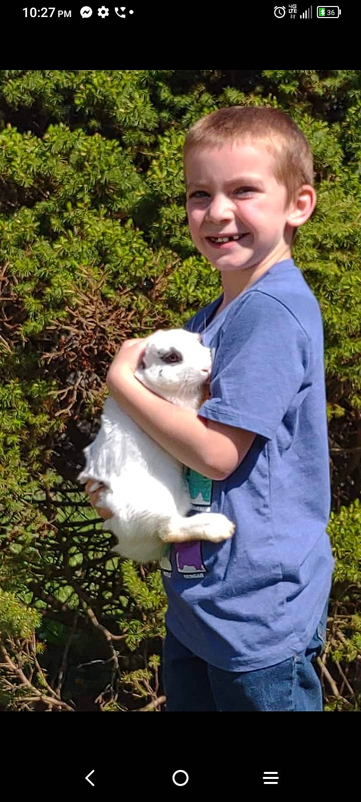 Braylin joined the competition — help win amazing prizes! barn_owl, canidae, child, companion_dog, fawn, fur, grass, happy, joy, pattern, person, plant, shorts, smile, sporting_group, stuffed_toy, t_shirt, toddler, toy, tree