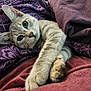 Billie is registered to the contest to win money with this photo: cat, kitten, tabby, pet, animal, feline, cute, whiskers, claws, fur, bed, blanket, purple, cozy, stretching, paw, closeup, indoor, relaxed, young