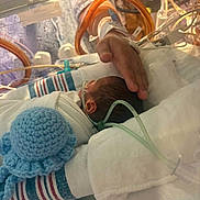 Francisco joined the competition — help win amazing prizes! newborn, baby, hospital, incubator, medical_tubes, blanket, hand, knitted_toy, octopus_toy, infant, patient, care, premature_baby, nursery, healthcare, bed, person, medical_equipment, resting, protection