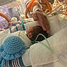 newborn, baby, hospital, incubator, medical_tubes, blanket, hand, knitted_toy, octopus_toy, infant, patient, care, premature_baby, nursery, healthcare, bed, person, medical_equipment, resting, protection