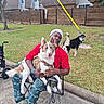 Bo-Bo joined the competition — help win amazing prizes! animal, building, canine, chair, clothing, dog, fence, footwear, grass, happy, hat, leash, man, outdoor, pants, pet, sidewalk, smile, tree, window