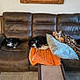 cat, dog, brown_leather_couch, blanket, pillow, orange_towel, indoor, pet, feline, canine, resting, cozy, living_room, floor_tiles, home_interior, three_animals, black_and_white_cat, small_dog, relaxing, fur