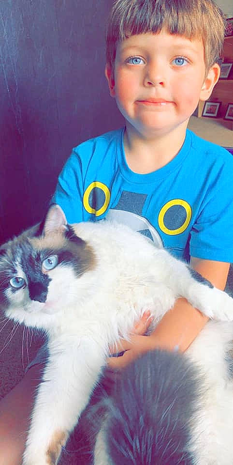 Peanut is registered to the contest to win money with this photo: carnivore, cat, child, domestic_short_haired_cat, ear, eye, fawn, felidae, fur, kitten, nose, ragdoll, skin, small_to_medium_sized_cats, toddler, turkish_van, whiskers