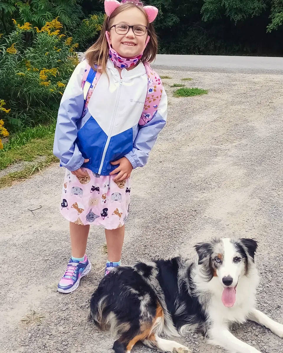 Kora Aurora is registered to the contest to win money with this photo: australian_shepherd, border_collie, carnivore, clothing, companion_dog, costume_hat, dog, dog_breed, electric_blue, eyewear, fashion_accessory, grass, herding_dog, necklace, pattern, photograph, plant, scarf, sporting_group, street_fashion