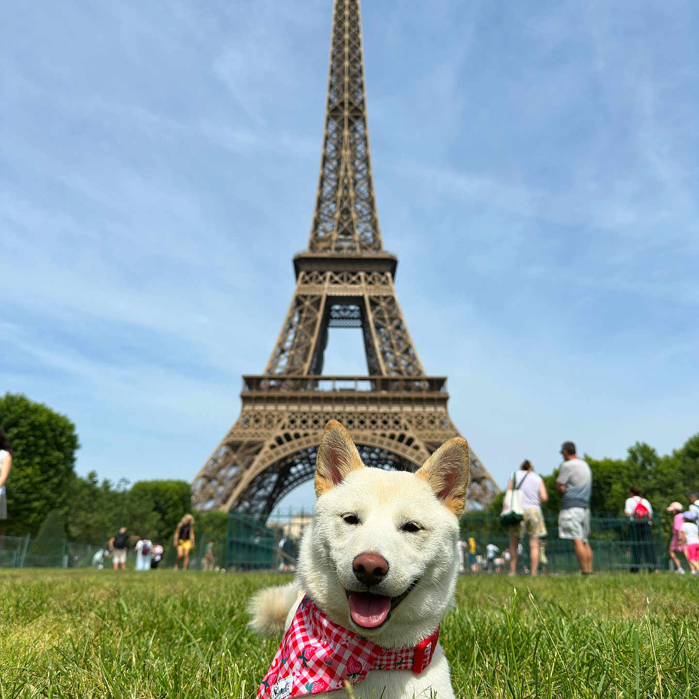 Seïza participe au concours pour gagner de l'argent avec cette photo : dog, eiffel_tower, paris, france, outdoor, grass, tourist, landmark, travel, sky, daylight, smiling, happy, bandana, gingham, cute, portrait, architecture, park, vacation