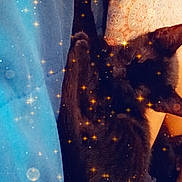 Ozzy joined the competition — help win amazing prizes! black_cat, cat, sleeping_cat, blanket, blue_blanket, pillow, patterned_pillow, indoor, cozy, resting, feline, cute, pet, animal, sparkles, magic_effect, relaxing, soft_lighting, close_up, home