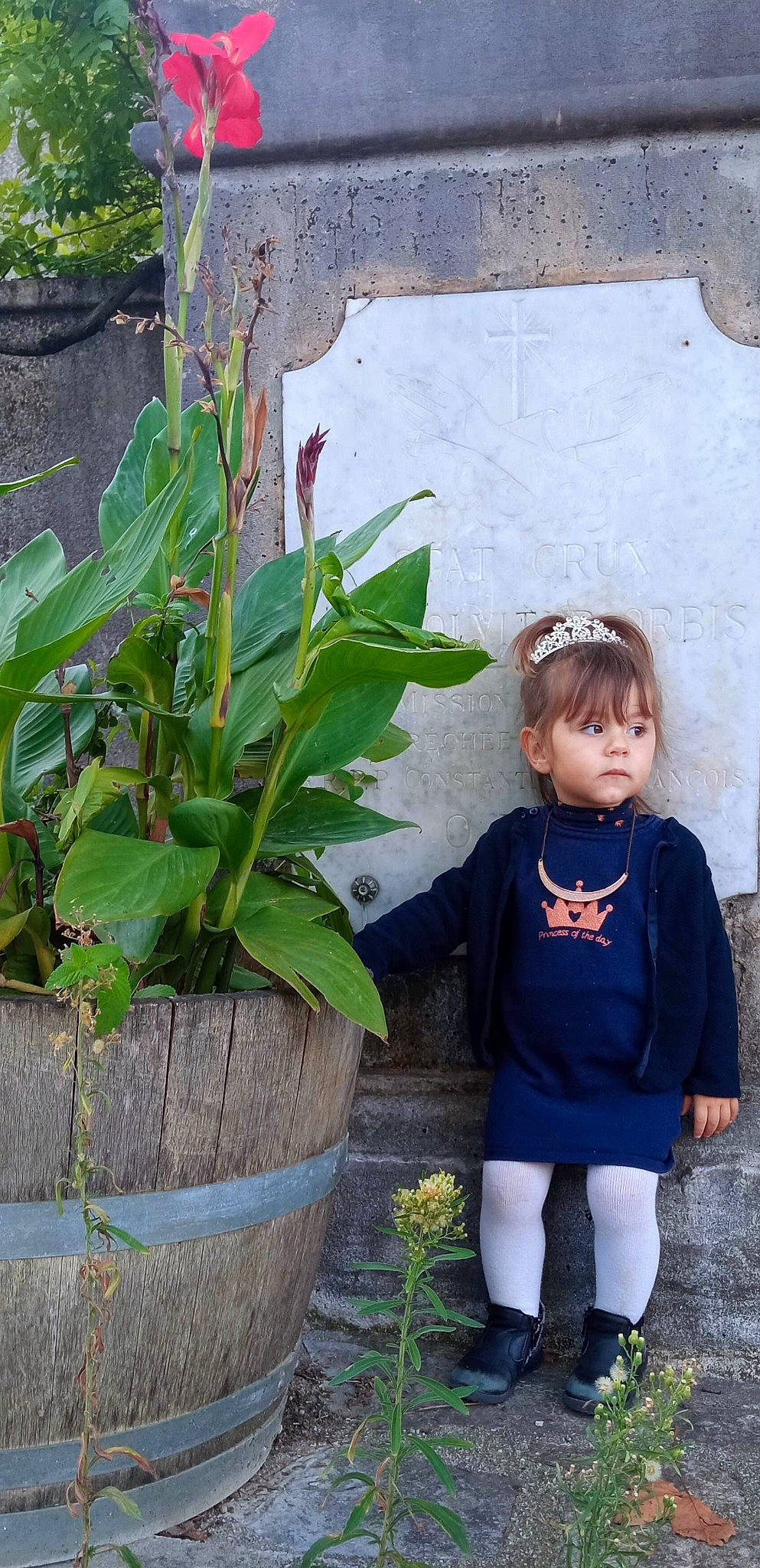 Cécilia participe au concours pour gagner de l'argent avec cette photo : arecales, baby_toddler_clothing, banana_family, flowering_plant, flowerpot, garden, grass, hat, herb, houseplant, leaf, pattern, people_in_nature, person, plant, plant_stem, shrub, sleeve, soil, terrestrial_plant