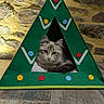 Aloha participe au concours pour gagner de l'argent avec cette photo : cat, pet, animal, feline, cat_house, christmas_tree_shape, green, yellow_star, decorations, felt, indoor, stone_wall, tile_floor, resting, cute, fluffy, cozy, triangle, house, domestic