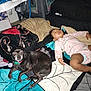 Coffee is registered to the contest to win money with this photo: animal, baby, bed, bedroom, blanket, canine, couch, cushion, dog, face, furniture, head, homedecor, indoors, person, pet, photography, portrait, room, sleeping