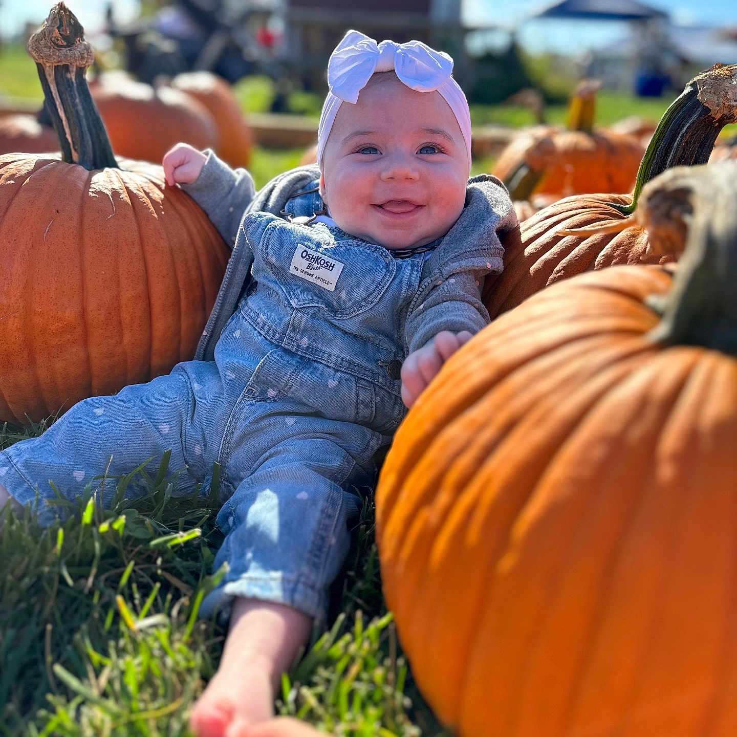 Zailey joined the competition — help win amazing prizes! baby, bodypart, cap, clothing, face, finger, food, grass, hand, hat, head, pants, person, photography, plant, portrait, produce, pumpkin, squash, vegetable
