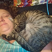 Little One joined the competition — help win amazing prizes! animal, bed, blanket, cat, close_up, comfort, cozy, cuddling, curly_hair, feline, human_face, indoor, person, pet, pillow, relaxation, resting, sleeping, striped_clothing, tabby_cat