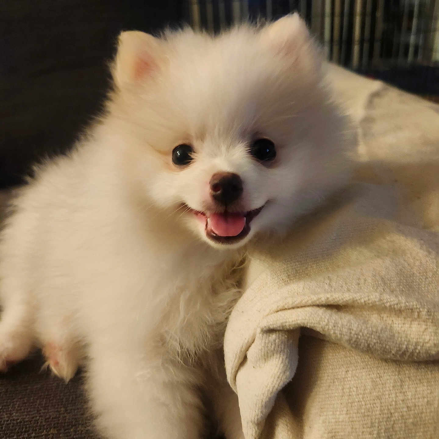 Coco